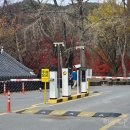 마곡사 내 주차장 화장실 | 대전 근교 충남 공주 마곡사 단풍 실시간 오늘 현황 | 주차장 맛집 후기