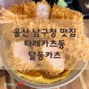 남구청 | 울산 남구청 돈까스 맛집 달동카츠 혼밥 솔직후기