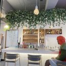 라플러쉬 이미지