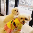 해태동물병원 이미지