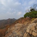 2021-주165 이미지