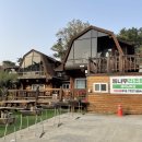 대천통나무리조트 이미지