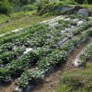 체험농장 민박 이미지