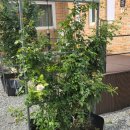 오창농장 이미지