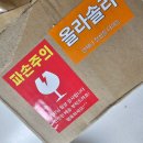 두통, 근육통, 담, 승모근 관리에 좋은 인생 마사지기 올라솔라 문어 꾹꾹 괄사 마사저 🐙🐙(추매 후기)
