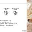 리움동물의료센터 이미지