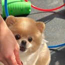 견생유치원 이미지