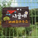 시골애 이미지