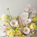 온화앤유 이미지