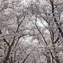 신경주역관광안내소 이미지