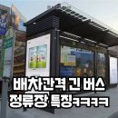 배차간격 긴 버스 정류장 특징ㅋㅋ 이미지