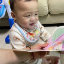 북10 | 프뢰벨 가족 베틀북 <엄마의 첫 선물> 샘플북 후기(feat. 10개월 아기 책육아)