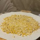 중독(DOG) 이미지