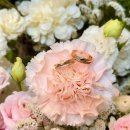 담디 | [담디스튜디오] 아이폰 스냅 솔직후기 📸