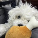 첨단종로약국 이미지