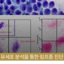 에스동물병원 이미지