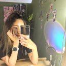 [문래] 파노 셀프사진관 - 꽃배경으로 화사한 사진 득템 가능한 사진관 🌻🌷🪻⚘️💐