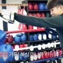 신천스타복싱 이미지