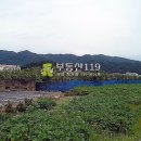 삼천리농장 이미지