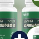 와사비랩