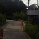 홍다방 이미지