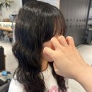 이담헤어 | 히피펌, 젤리펌 추천/헤어스타일 변신/강남역 미용실/준오헤어 신논현역점 이담