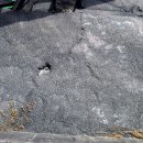 함안 용산리 함안층 새발자국화석 산지 이미지