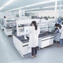 아모레플라워 이미지