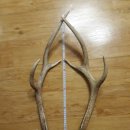 재용목장 이미지