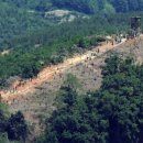 정지안 카카오 검색결과