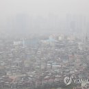 내일비안와요 이미지