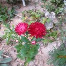 경기대한의원 이미지