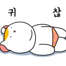 스시타이쇼 - 서초구 신반포로 194 | 스시타이쇼