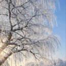 탄금호의 아침 이미지