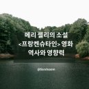 메리 셸리의 소설 ＜프랑켄슈타인＞ 영화: 역사와 영향력 이미지