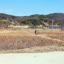 주곡리 장승제 이미지