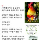 만사형통