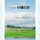 스테이 서하 이미지