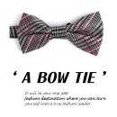 에이펙스라인 이미지