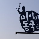 동국정비 이미지