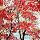 계남초교 이미지