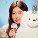아이스베어 이미지