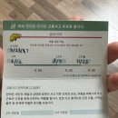 월출자동차공업사 | 교통사고 100:0 후방추돌 사고, 교통사고 대인대물 접수, 렌트 대차 후기