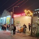 [팝업] 용가리가 사라졌다! 11월 성수 가볼만 곳 평일 후기 (애견동반 가능) / 온누리상품권