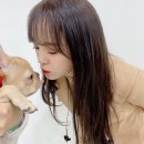 러블리뽀뽀 이미지