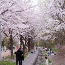 연암근린공원 이미지