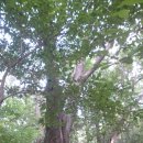 무정초교 이미지