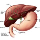 도래울로 이미지