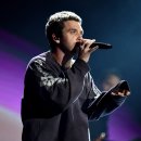 도도 Grooming 이미지