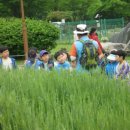 함지초교 병설유치원 Daum카페